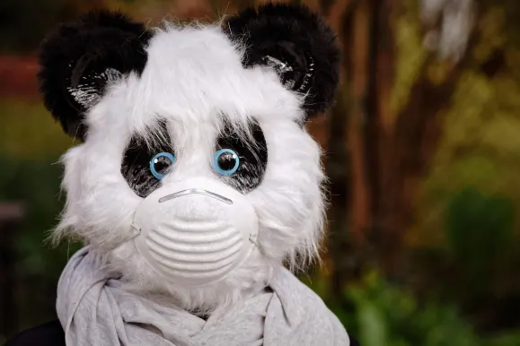 SilverPlay Casino Stuðningur